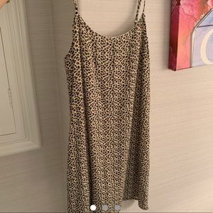 Lottie moss (pacsun) leopard dress